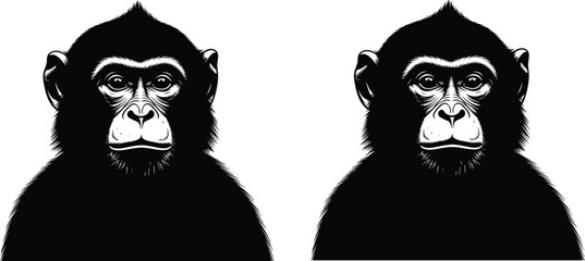 Two gorilla silhouettes a striking black and white portrait © MDSAIFUL