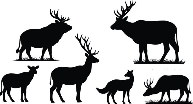 Deer silhouette collection a variety of antlered and young deer poses