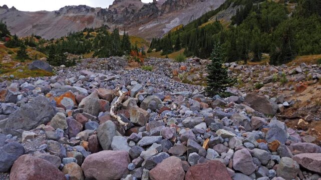 Footage of the rocky glacial moraine and riverbed along the Glacier Basin Trail in Mount Rainier National Park. This moderate, 7-mile round trip trail ascends the upper White River valley through fore