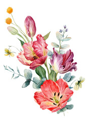 Obraz premium A vibrant watercolor tulip bouquet: exquisite red and purple blooms with eucalyptus and delicate wildflowers—a floral arrangement perfect for creative projects. 
