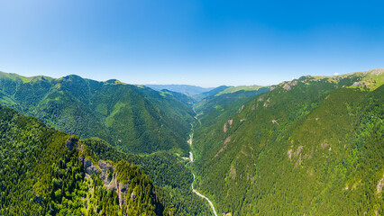 Altindere, Trabzon Province, Turkey. Altinder Valley Park. Coniferous forest on the slopes. Road through the valley. Aerial view © Video Render