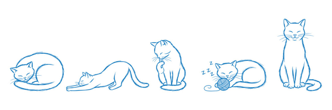 Vector illustration of cats in various sleeping and resting positions
