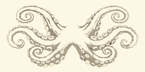 Intricate octopus tentacles illustration with symmetrical design and detailed suction cups high quality professional modern © Lalin