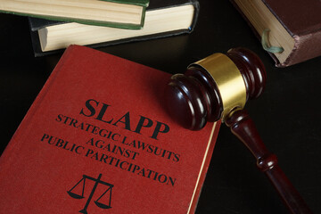 SLAPP lawsuits, strategic lawsuits against public participation, legal pressure on free speech, silencing critics and activists, freedom of expression, justice system abuse, media and civil rights