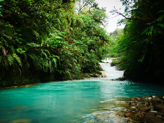 Vibrant turquoise waters flow through a breathtaking tropical rainforest, featuring gentle cascades and lush green foliage, an untouched natural paradise © Martin