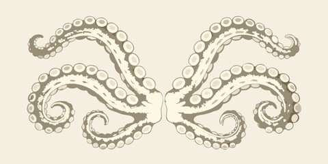 Octopus tentacles illustration with symmetrical design and detailed suction cups on a beige background © Apurba