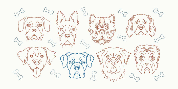 Line art illustration of seven different dog breeds with bone shapes on a white background