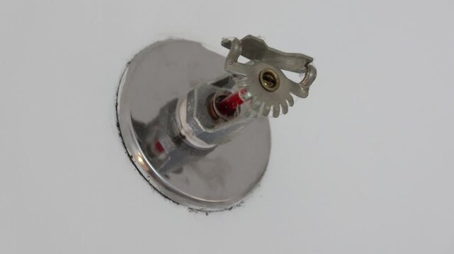 Fire sprinkler head mounted on white ceiling. Metallic finish with red activation component. Securely fastened with visible mounting plate. Ideal for fire safety, building inspection

