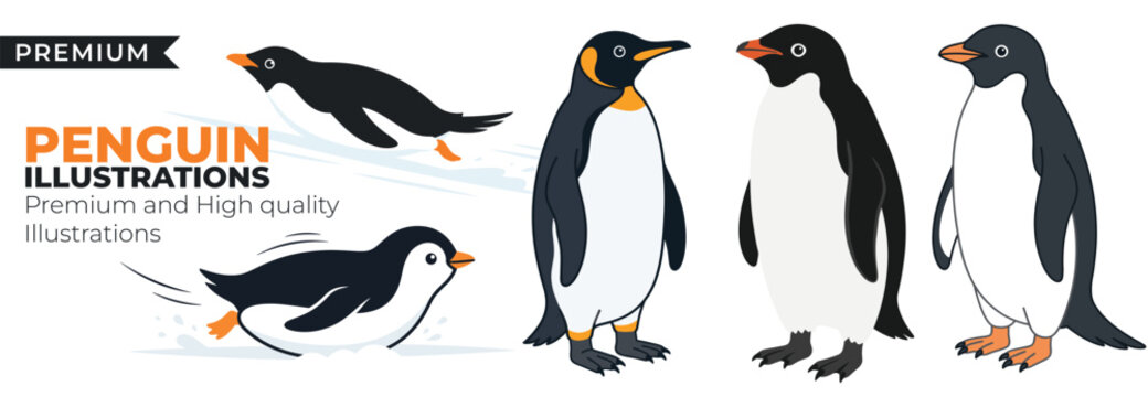 Cute Penguin Illustration Set with Arctic Winter Wildlife and Snow Animals 