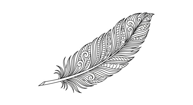 Intricate Ornamental Feather Drawing - Black and White Line Art, Zendoodle Style