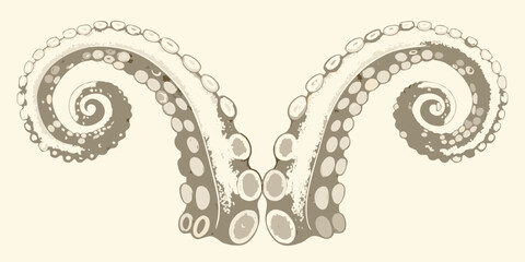 Intricate octopus tentacles illustration with symmetrical design and detailed suction cups high quality professional modern © Ranajit