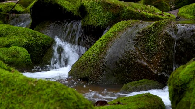 Mossy rocks with flowing water in a forested stream