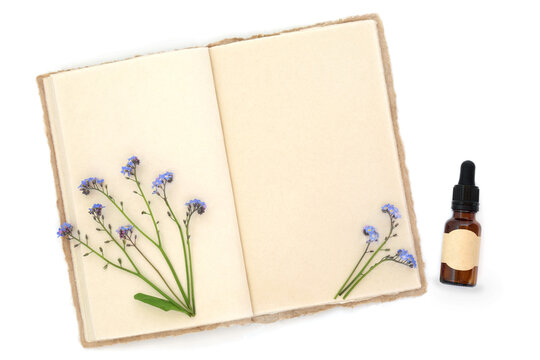 Forget me not flowers, brown tincture oil bottle, alternative herbal medicine on white. Used to treat respiratory problems, a sedative, antioxidant, anti inflammatory. Myosotis