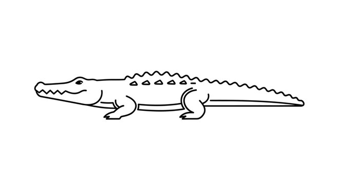 Simple Line Drawing of a Crocodile or Alligator with Open Mouth on White Background