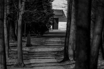 Park