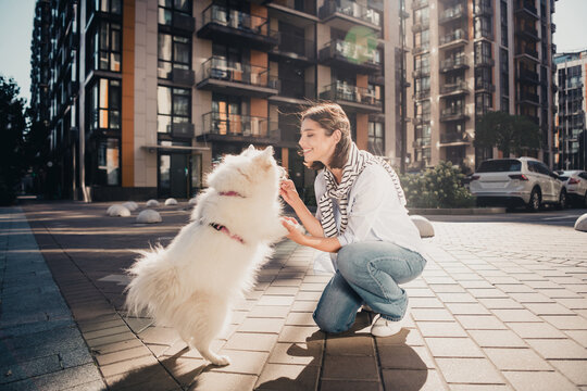 Young woman crouching to pet a playful white dog on a sunny urban sidewalk in front of modern apartment buildings