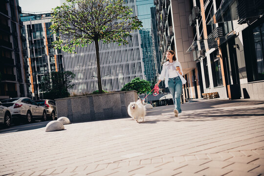 Woman walking a fluffy white dog through a sunny urban plaza with coffee and a pink leash, enjoying a relaxed city stroll among modern office buildings