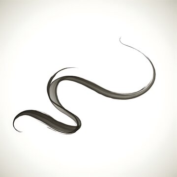 Elegant single wavy dark brown hair strand isolated on white background.