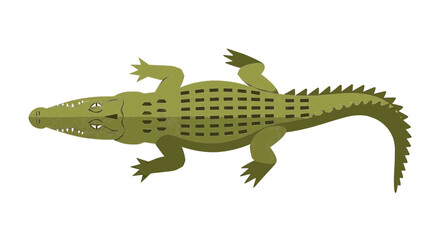 Fototapeta premium Top View Green Crocodile Vector Illustration