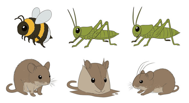 Cute cartoon insect and rodent character collection