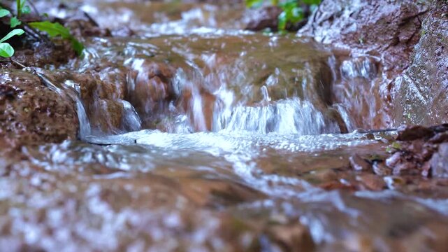 Clear flowing water cascades over wet earthy rocks in soft natural light