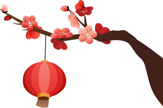 Red lantern hanging on plum tree