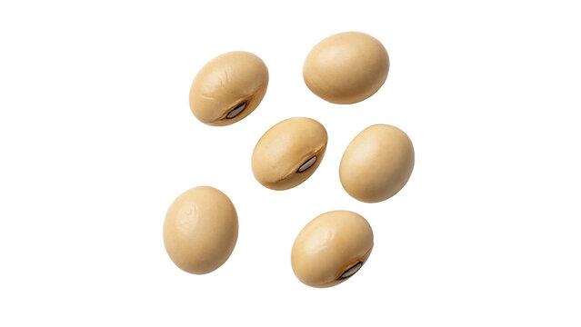 Group of organic soy beans or seeds isolated on transparent background  