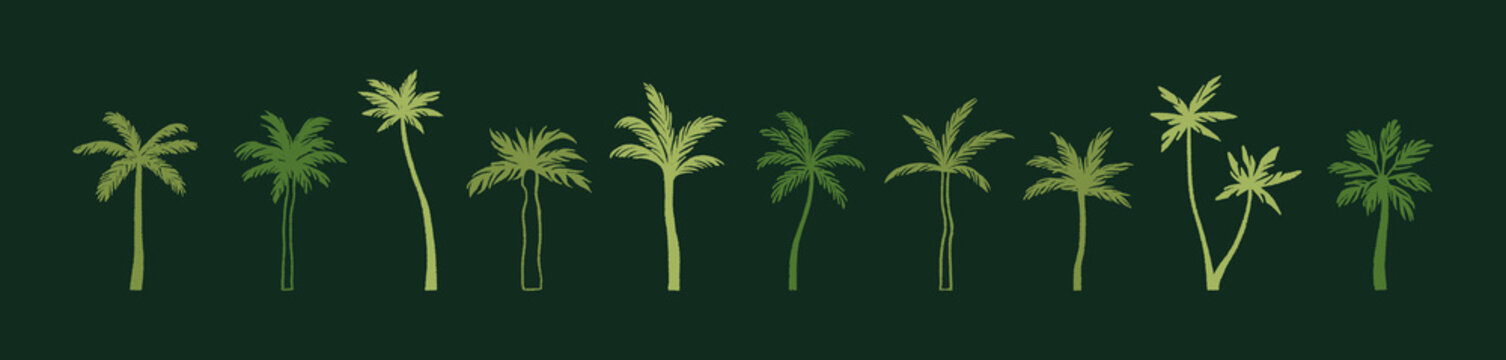 Doodle set of abstract silhouettes of palm trees. Banana and coconut palmtrees shadows. Tropical plants of rainforest. Exotic flora of jungle. Flat isolated hand drawn vector illustrations
