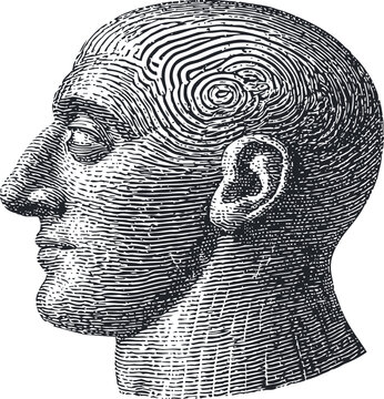 Vintage engraved human head illustration with brain swirl pattern in profile view