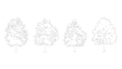 Obraz premium Abstract four small trees with different leaf shapes on transparent background.