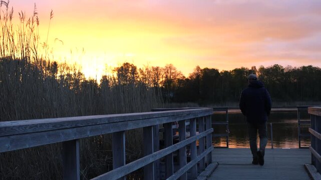 Stockholm, Sweden A man walks on a wooden boardwalk in the Kyrksjolotens nature reserve near a small lake in the Bromma suburb.  
