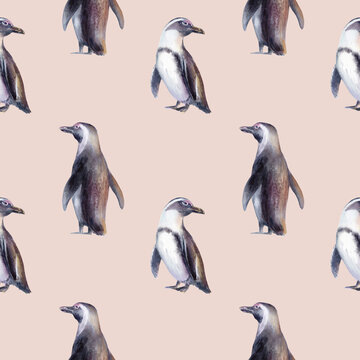 African Jackass Penguin in seamless pattern,Endangered Spectacled Bird of South African and Namibian Coastlines.Hand drawn watercolor illustration,call to preserve an endangered species
