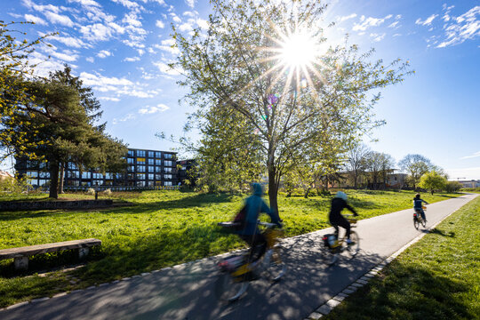 Cyclists riding along the Elbe Cycle Path (Elberadweg) in Dresden, Germany, on a bright sunny day. The scene shows a green riverside landscape near the Elbe River, with sunlight shining through a tree