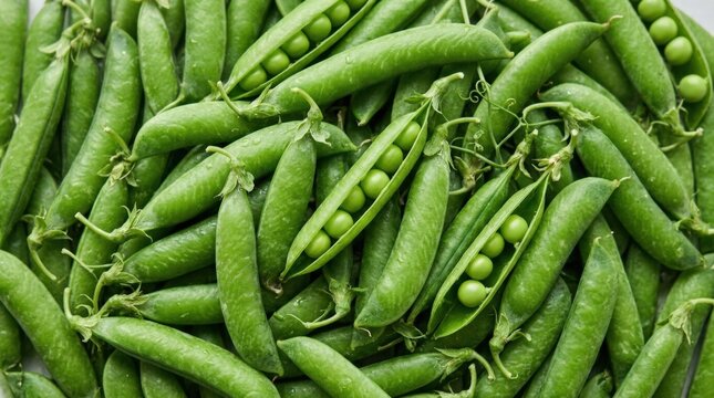 Fresh green peas in pods forming a natural food background, organic vegetable ingredient texture for healthy branding, recipe editorials and seasonal produce campaigns, vivid green pattern with fresh