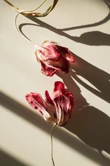 Multiple red tulips with geometric shadow patterns on neutral minimalist surface backdrop © Floral Deco