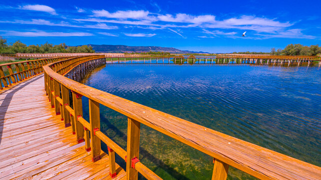 Tablas de Daimiel National Park, Daimiel, Ciudad Real, Castilla La Mancha, Spain, Europe