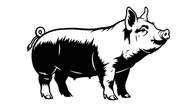 Black and white stylized pig illustration