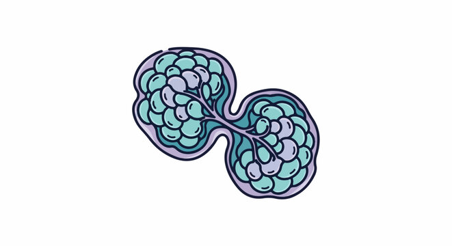 Stylized illustration of a biological structure with interconnected lobules