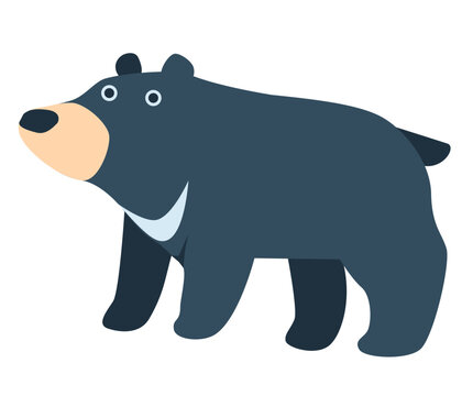 Formosan black bear