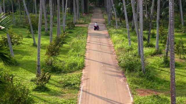 Aerial view of a traveler riding a scooter on a scenic road through a lush tropical coconut palm plantation.