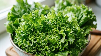 Obraz premium Macro view of fresh curly lettuce greens used in salad preparation, bright foliage detail emphasizing natural food ingredients for healthy eating campaigns, kitchen editorials and organic produce