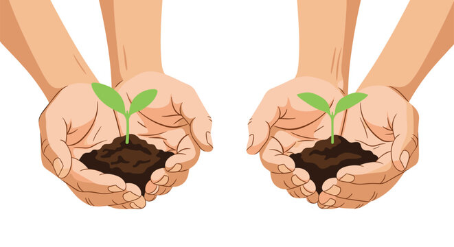 Two pairs of human hands carefully holding small green plant seedlings with soil representing growth, environmental care, and sustainability.
