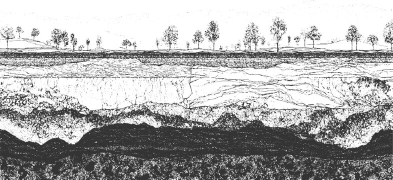 Detailed cross section of layered earth strata with trees on the surface in a black and white style layers
