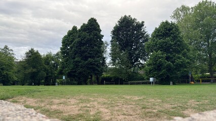 Obraz premium View of Beautiful trees in the park at lake Maggiore, Italia
