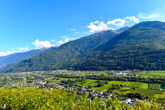 Panoramablick auf das Veltlin-Tal mit Weinbergen und Alpent&auml;lern nahe Sondrio