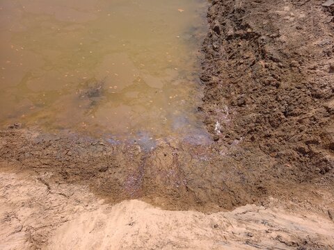 soil layer section of acid soil.