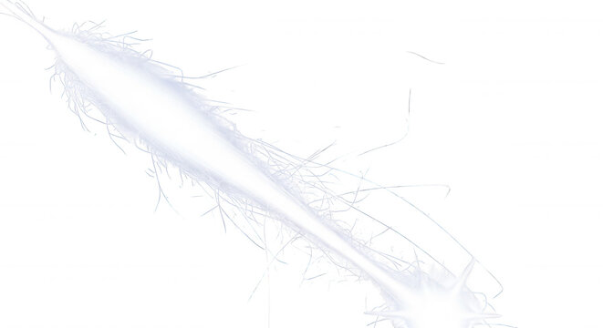A bright white diagonal streak of light with radiating thin filaments and jagged edges isolated against a solid black background