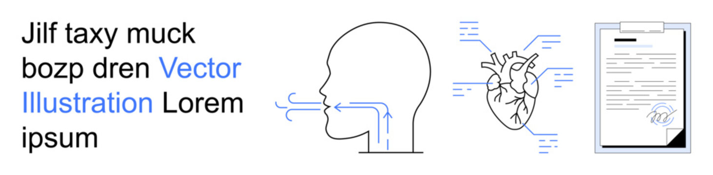Healthcare, diagnostics, anatomy, biotechnology, medical research, pulmonology. Diagram of breathing process, labeled heart medical form. Healthcare and diagnostics concept for research and practice