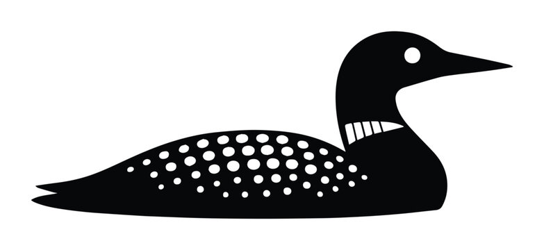 Stylized black loon vector illustration, minimalist common loon bird silhouette, elegant aquatic waterfowl icon, simple wildlife graphic for nature designs