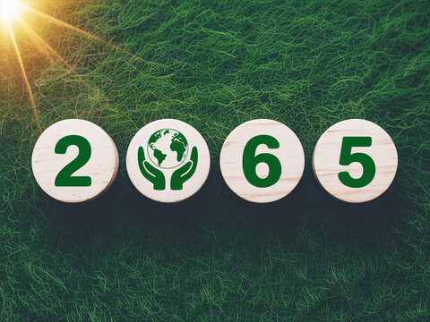 Eco friendly 2065 sustainable future concept with green earth symbol on wooden tokens, environmental protection